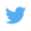 Twitter Bird Icon